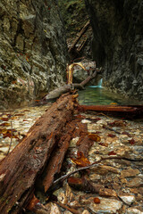 Beautiful gorge with water and trees in the water in the Slovak Paradise National Park