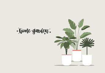 Home garden Vector template for posters and banners with copy space Three different tropical plants and flowers in white pots on beige background Flat design