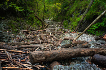 The trail through the beautiful canyon of the Slowacki Raj National Park