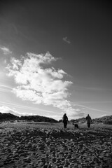silhouette of a person in the desert