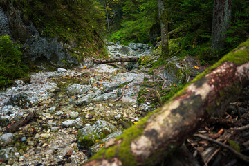 Wooden ladders over the stream in the gorges of the Slovak Paradise