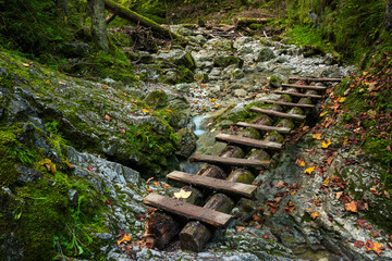 Wooden ladders over the stream in the gorges of the Slovak Paradise