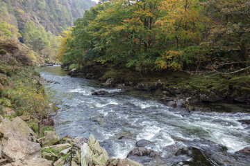 View along the Glaslyn River in autumn