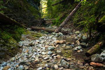 Wooden ladders over the stream in the gorges of the Slovak Paradise