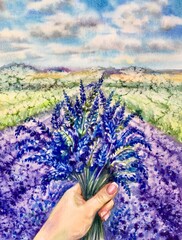 Female hand holds a bouquet of lavender. Watercolor lavender field. Design element. © El_Art
