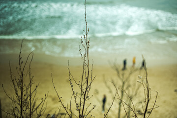 fishing on the river