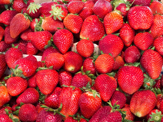 Strawberries for sale
