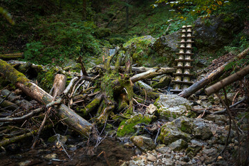 Obraz premium Wooden ladders over the stream in the gorges of the Slovak Paradise