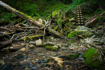 Wooden ladders over the stream in the gorges of the Slovak Paradise