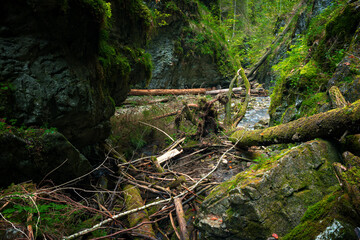 The trail through the beautiful canyon of the Slowacki Raj National Park
