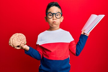 Little boy hispanic kid holding brain studying for school puffing cheeks with funny face. mouth...