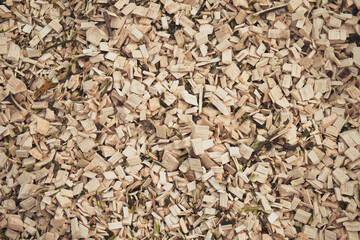 Abstract natural background of wood chips. Wood waste from sawmill.