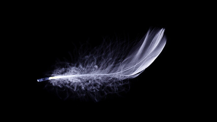 Obraz premium Feather fly. Nature abstract bird feather texture closeup isolated on black background in macro photography, soft focus. Elegant expressive artistic image fragility of nature.