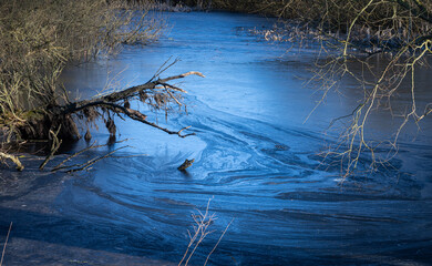 A beautiful picture of a small pond covered with ice. Blue icy water with trees in the background