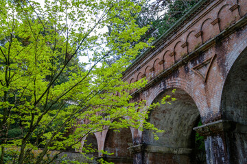 新緑と水路閣
