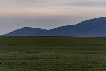 Fototapeta premium View of a grassy meadow with mountains on the horizon