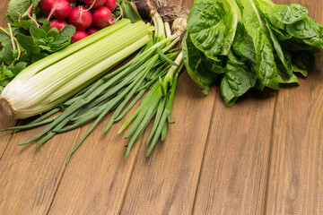 Celery stems and green onions with roots and soil. Lettuce leaves romaine.