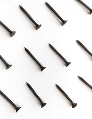 screws isolated on white