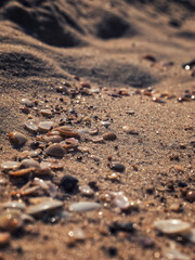 Fototapeta na wymiar tracks on sand