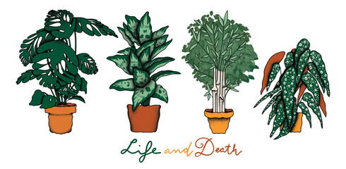 Skull plants illustration