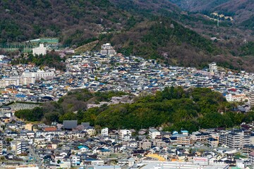 市街地の森と桜