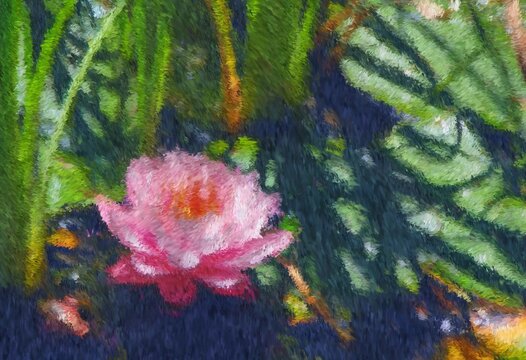 pink water lily and reeds with painterly effect