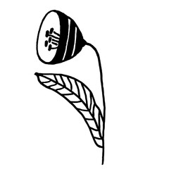 Flower. Isolated black line illustration. Stylized wild flower with leaf. Hand drawn doodle sketch. Black silhouette on white background.