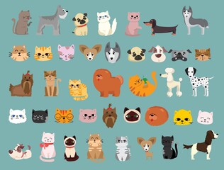 Vector illustration set of cute and funny cartoon pet characters. Different breed of dogs and cats