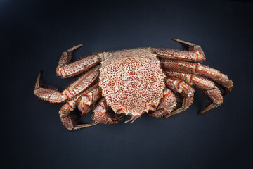 Cast-iron pan with boiled horsehair crab, flatlay over dark brown stone background, studio shot