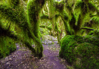Revotano and Eremo di San Leonardo (Roccantica, Italy) - The spectacular attractions in Sabina...