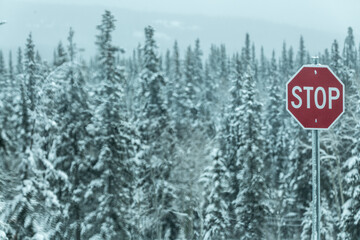 Winter scene in northern Canada with a traffic stop sign standing out on the white, snowy background with bright red signal. 