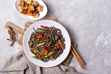 A dish of Asian cuisine. Soba noodles with red bell pepper, green onions and fried tofu cheese