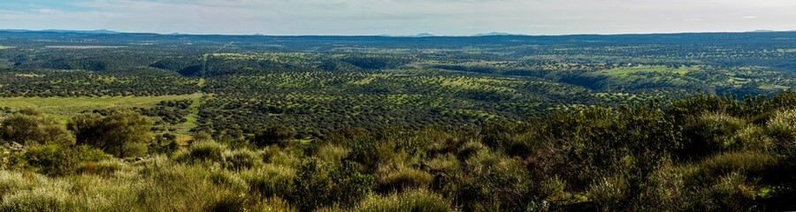 Panor&aacute;mica de las dehesas del Parque Nacional de Monfrag&uuml;e. Red Natura 2000. Espa&ntilde;a.Extremadura.