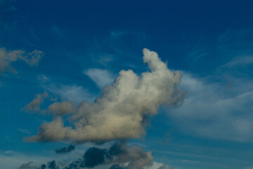 Fototapeta na wymiar chubby cloud in the shape of an animal on a background of blue sky