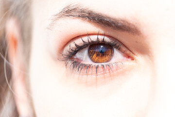 A Brown eye of girl