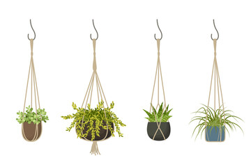 Decorative macrame hanging planter set. Green House plants in pots. Indoor flower pot collection for home decoration. Boho design element. Flat Cartoon Vector illustration isolated on white background