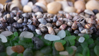 White and green sea glasses, shells of different types. Sea background