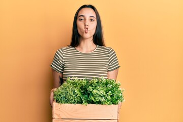 Young hispanic woman holding wooden plant pot making fish face with mouth and squinting eyes, crazy and comical.