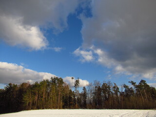 Schnee im Wald