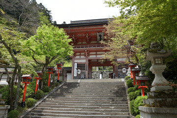 Fototapeta premium 鞍馬寺 仁王門 京都市