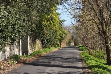 Strada nel Parco