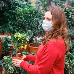 Adult woman in face mask looks at citrofortunella citrus tree in store. Buying indoor plants for home gardening with coronavirus quarantine