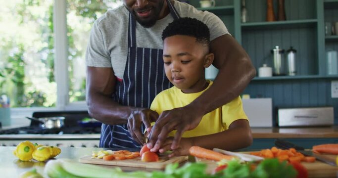 African american father and son in kitchen wearing aprons and preparing dinner together