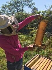 Beekeeper person working on bee boxes