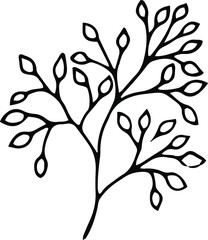 Ink sketch of meadow herb. Can be used for logo design or any other minimalist design in ecologic style. Vector illustration