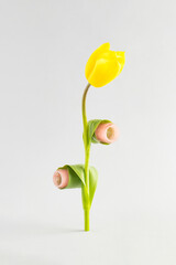 Creative composition with yellow flowers with curlers on a gray background. Minimal Spring nature concept.