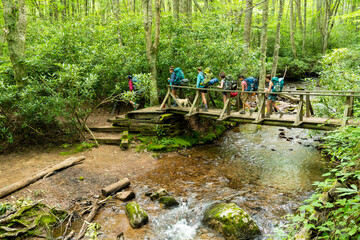 A girls group hiking over Fox Creek, Appalachian Trail, Mount Rogers National Recreation Area, Virginia.