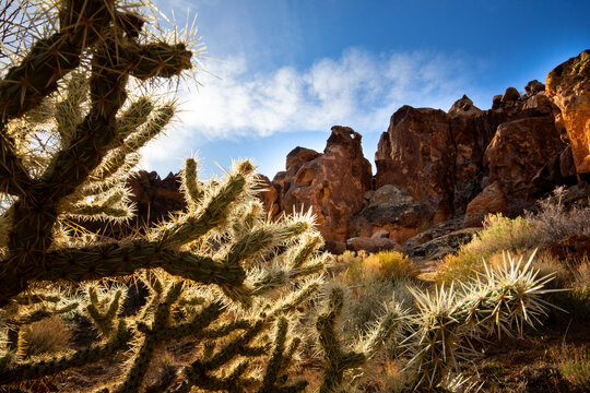Mojave National Preserve, California