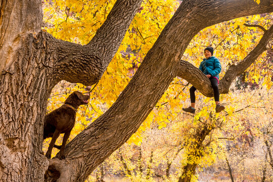 A girl and her dog climbing a tree at the Box Elder Recreation Site, Dolores River Canyon, Dove Creek, Colorado.