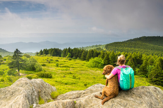 A woman and her dog hiking along the Art Loeb Trail over Black Balsam Knob, Pisgah National Forest, Brevard, North Carolina.